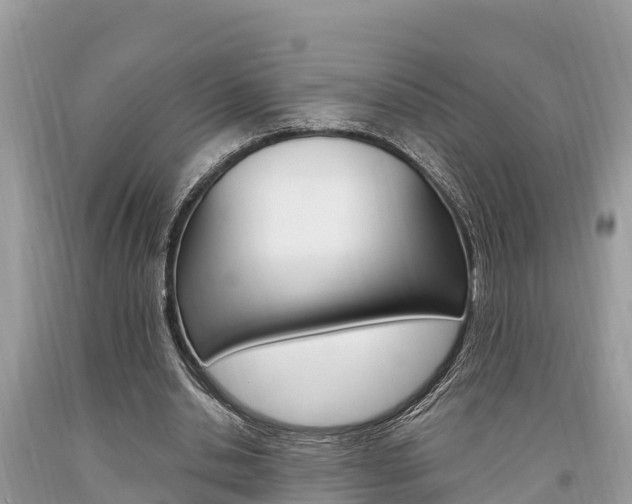X0000094180438200710260935