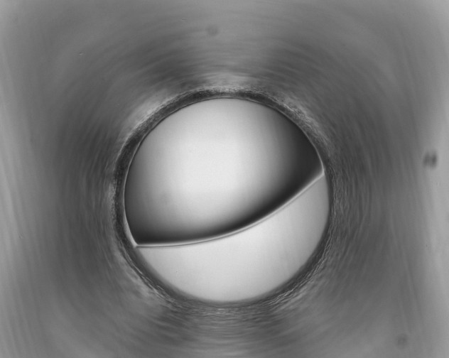 X0000094180440200710260935