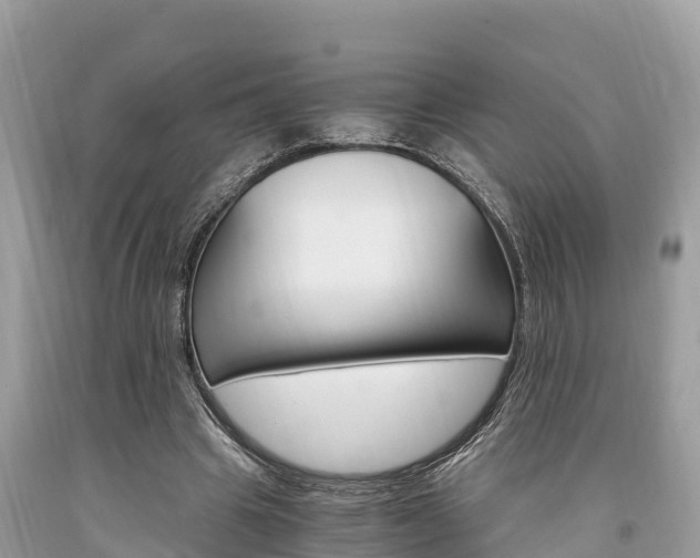 X0000094180441200710260935
