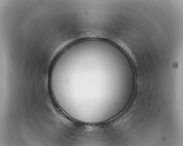 X0000094180442200710260935