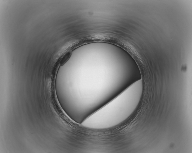 X0000094180444200710260935