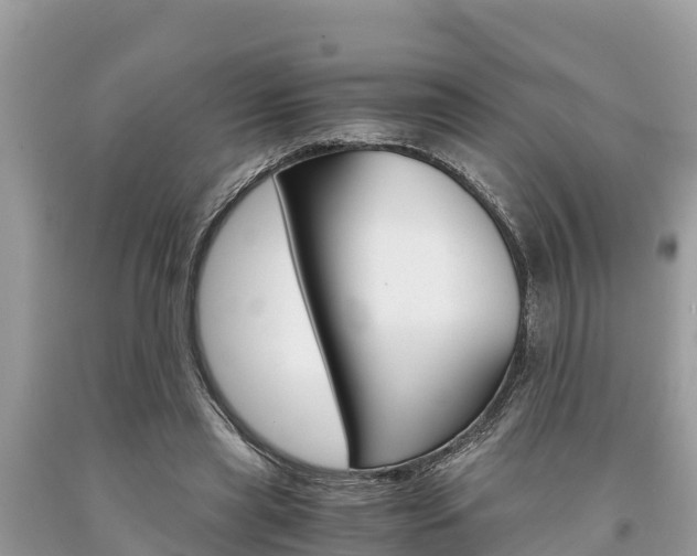 X0000094180445200710260935