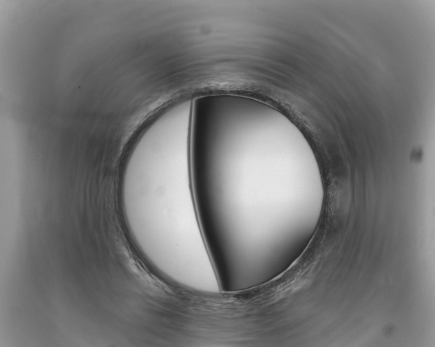 X0000094180446200710260935
