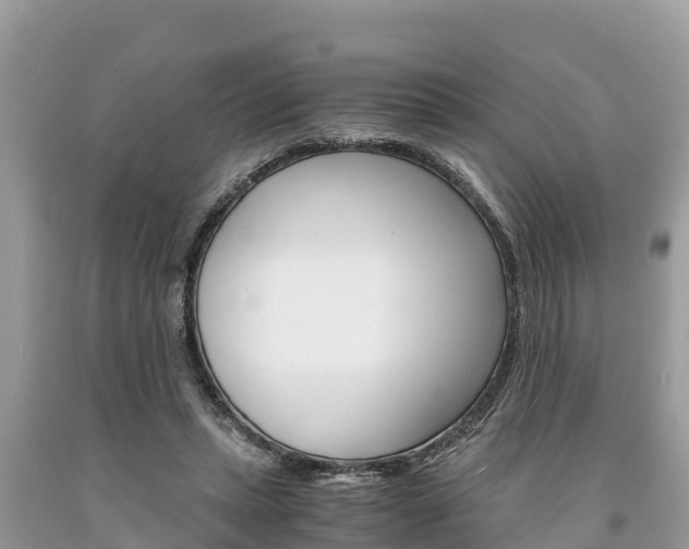 X0000094180447200710260935