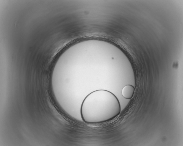 X0000094180448200710260935