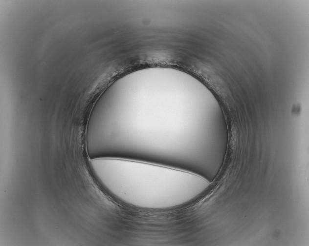 X0000094180449200710260935