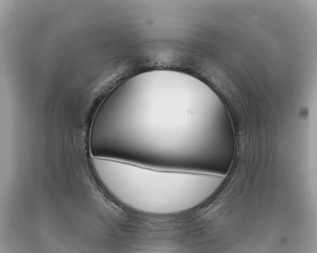 X0000094180450200710260935