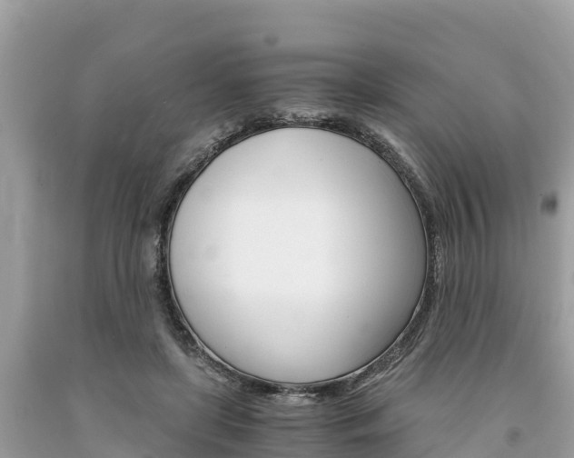 X0000094180451200710260935