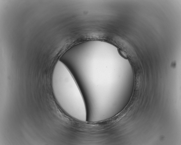 X0000094180457200710260936