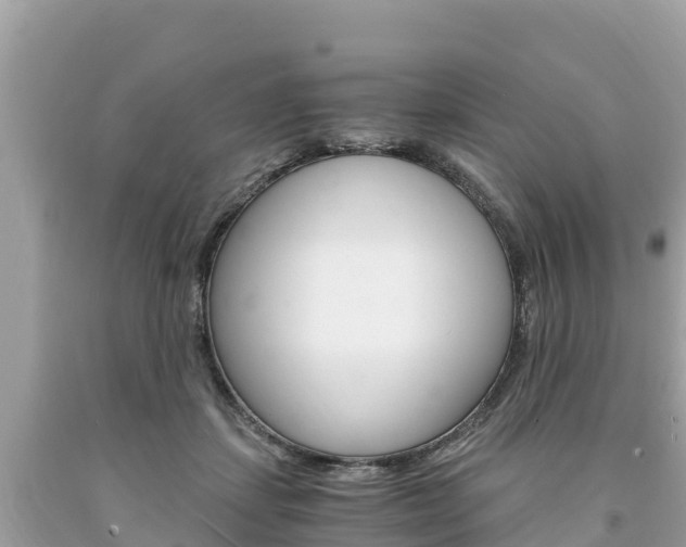 X0000094180459200710260936