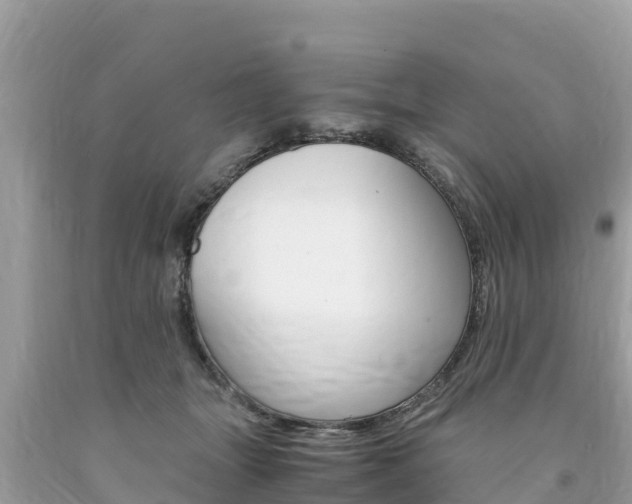 X0000094180463200710260936