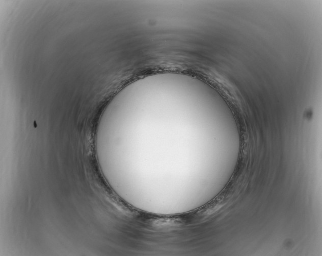 X0000094180465200710260936