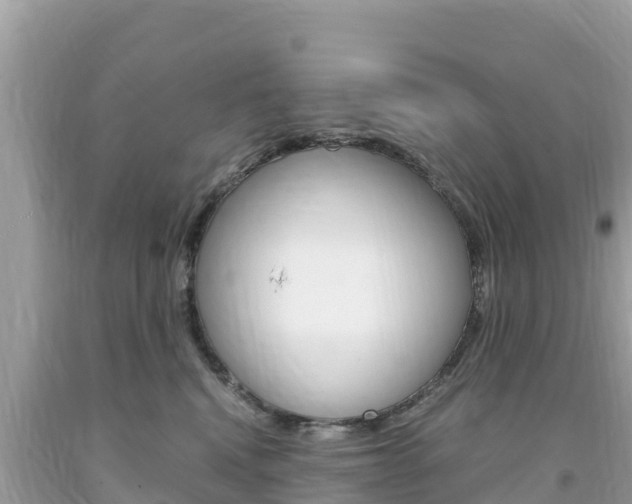 X0000094180472200710260936