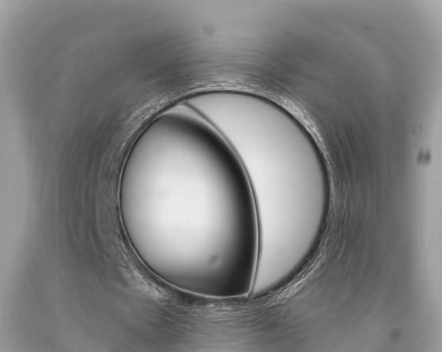 X0000094180481200710260935