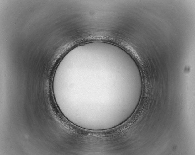X0000094180482200710260935