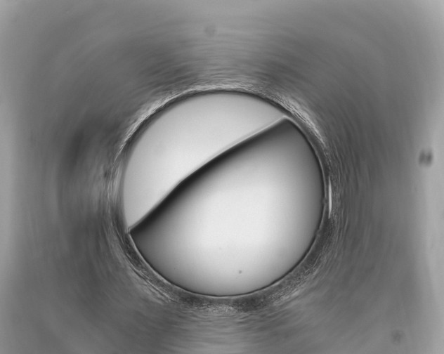 X0000094180483200710260935
