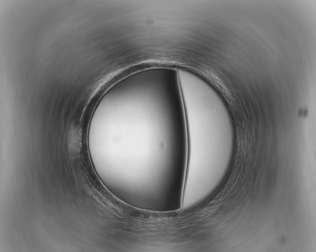 X0000094180484200710260935