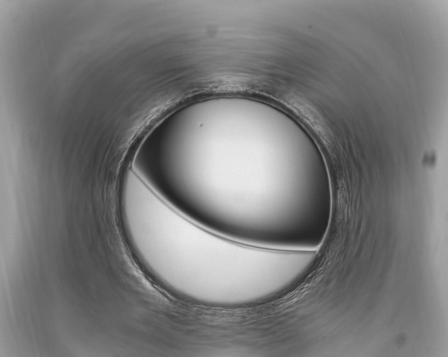X0000094180485200710260935