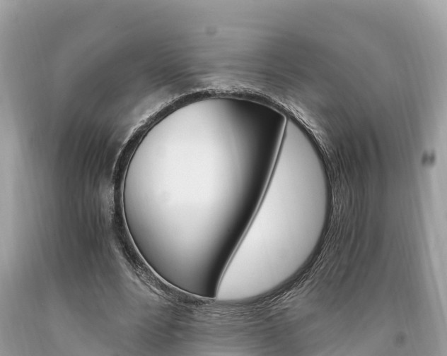 X0000094180488200710260935