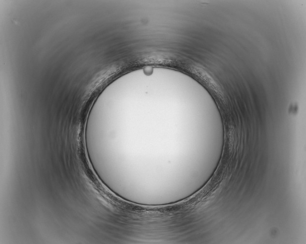 X0000094180490200710260935