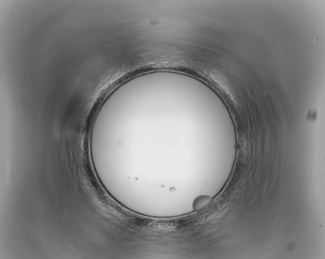 X0000094180491200710260935