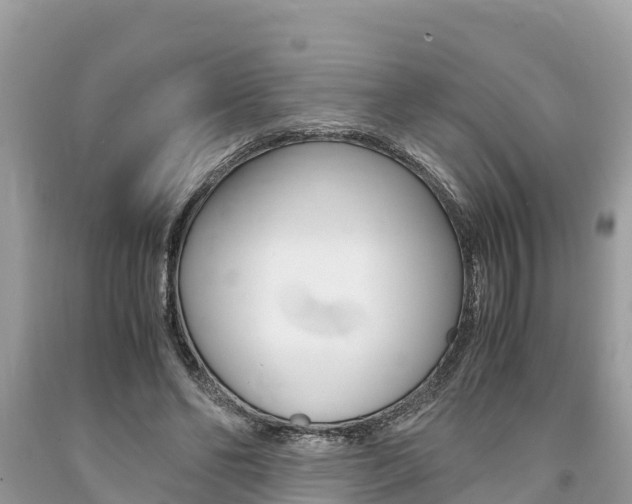 X0000094180494200710260935