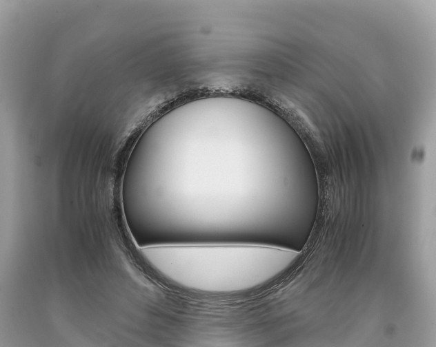 X0000094180496200710260935
