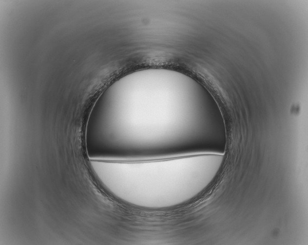 X0000094180497200710260935