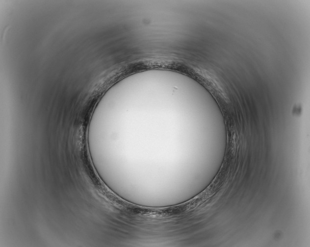 X0000094180498200710260935