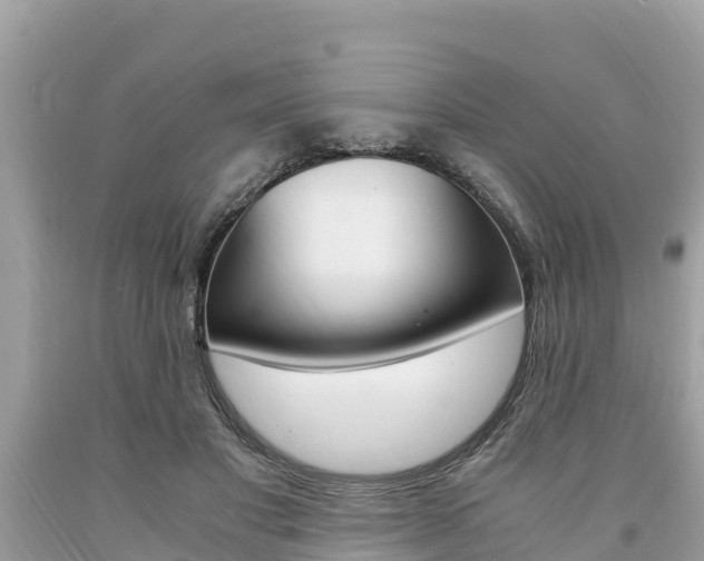 X0000094180501200710260935