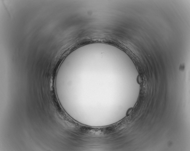 X0000094180502200710260935