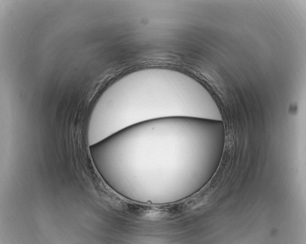 X0000094180504200710260935