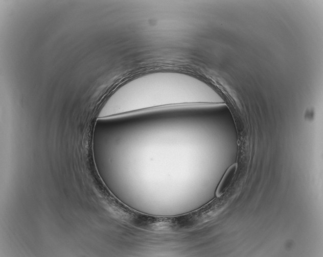 X0000094180505200710260935