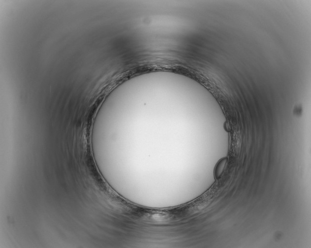 X0000094180506200710260935