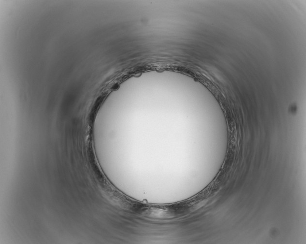 X0000094180507200710260935