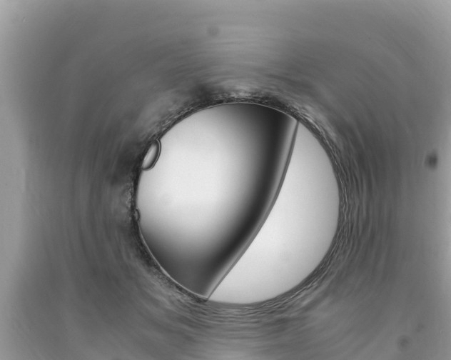 X0000094180509200710260935