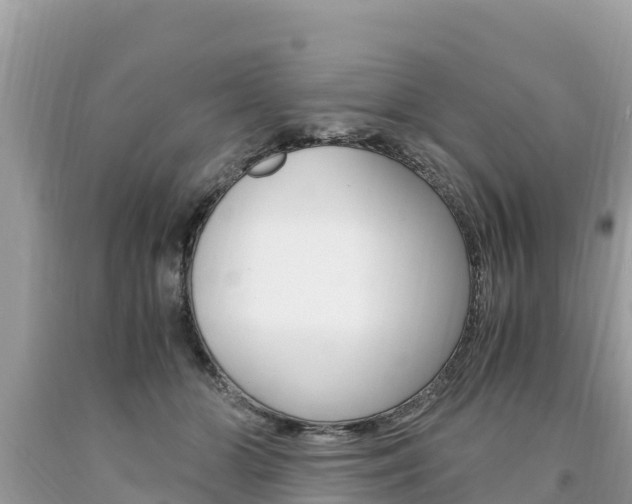 X0000094180510200710260935
