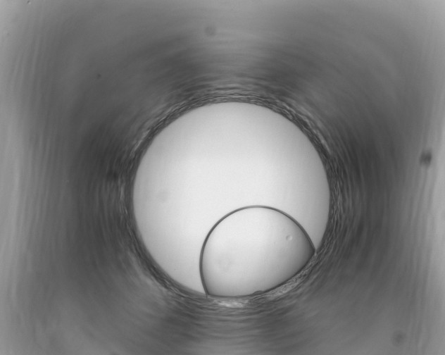 X0000094180512200710260935