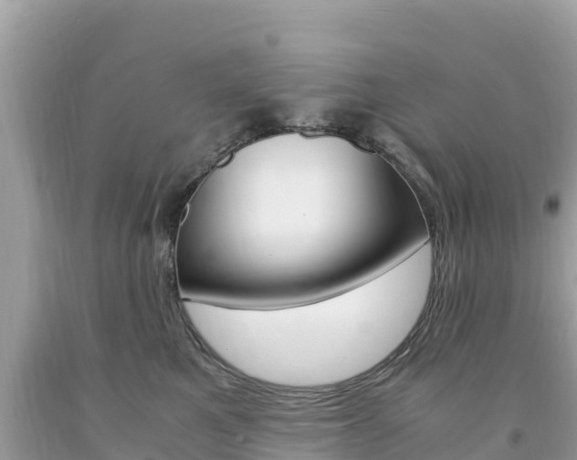 X0000094180521200710260935