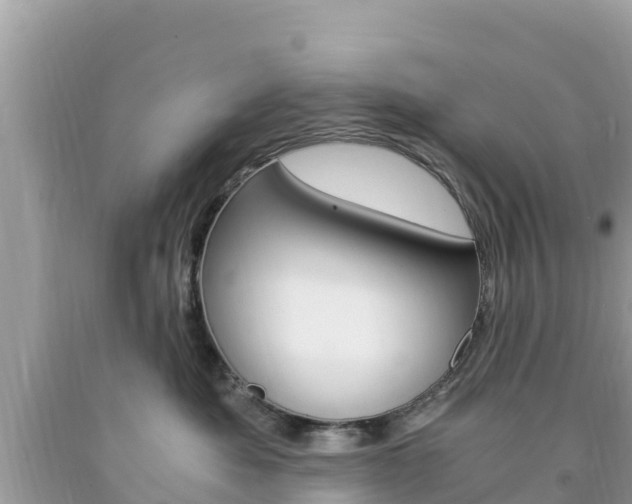 X0000094180525200710260935