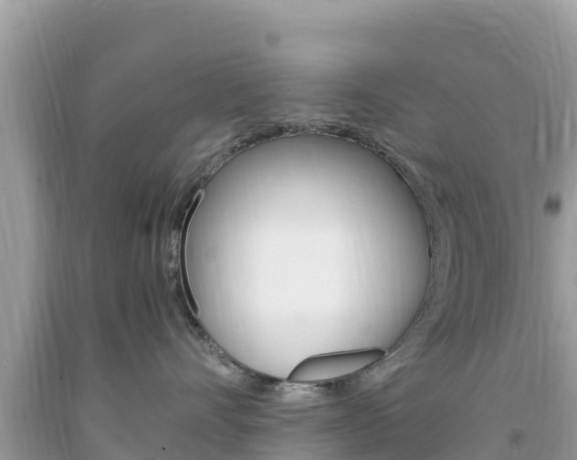 X0000094180528200710260935