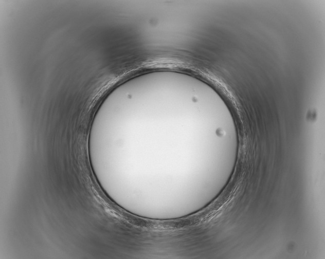 X0000094180529200710260934