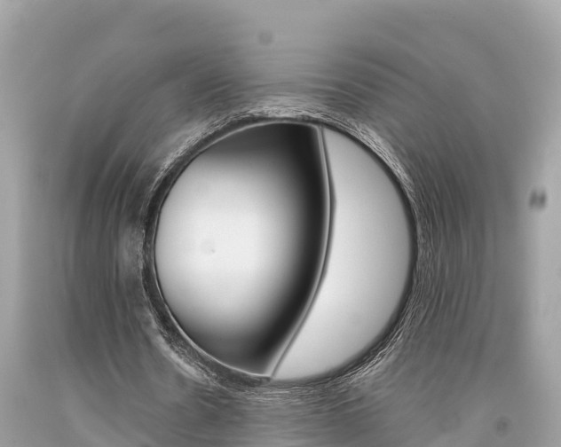 X0000094180530200710260934