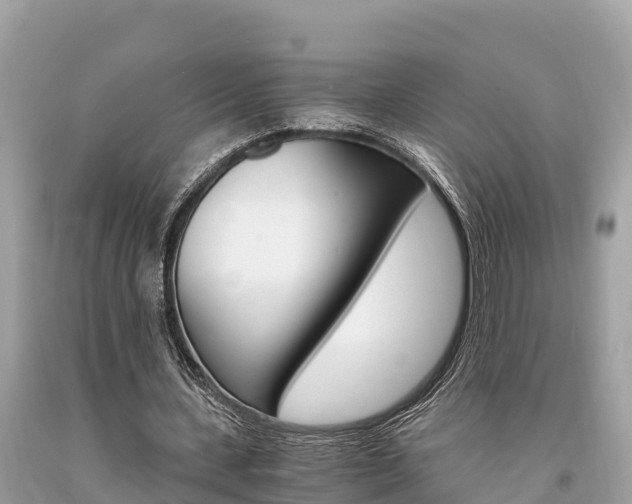 X0000094180531200710260934