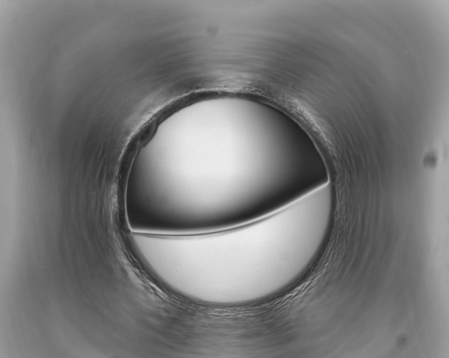 X0000094180532200710260934