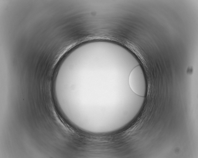 X0000094180534200710260934