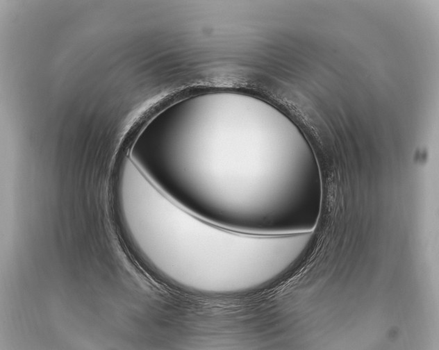 X0000094180536200710260934