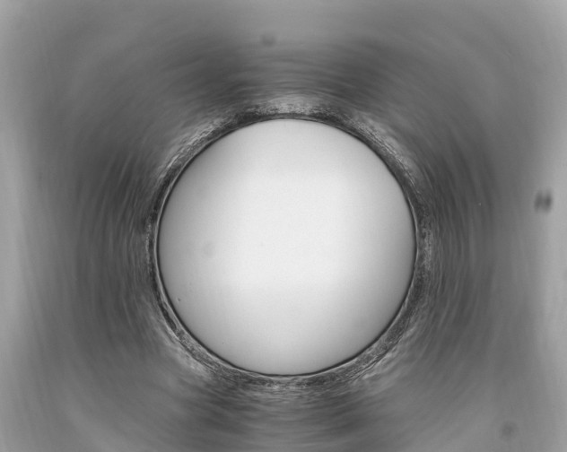 X0000094180537200710260934
