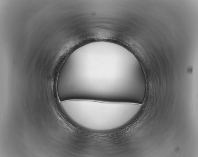 X0000094180539200710260934