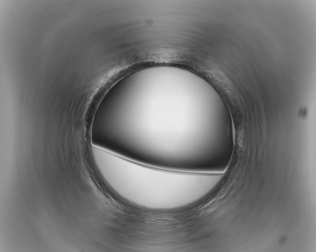 X0000094180540200710260934
